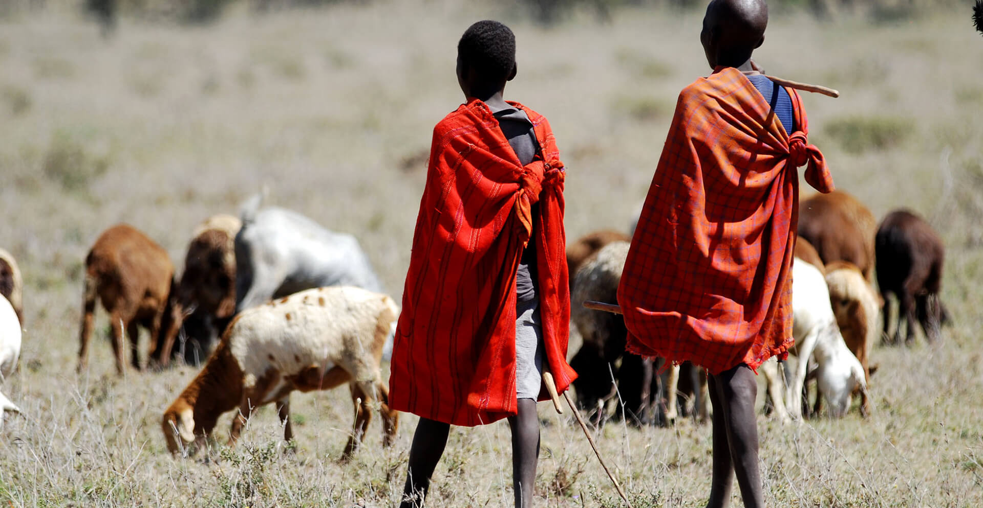 2 Tage Masai Mara mit Safari