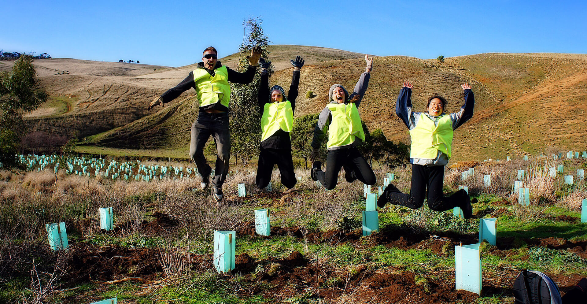 Freiwilligenprogramme zum Umweltschutz im Ausland