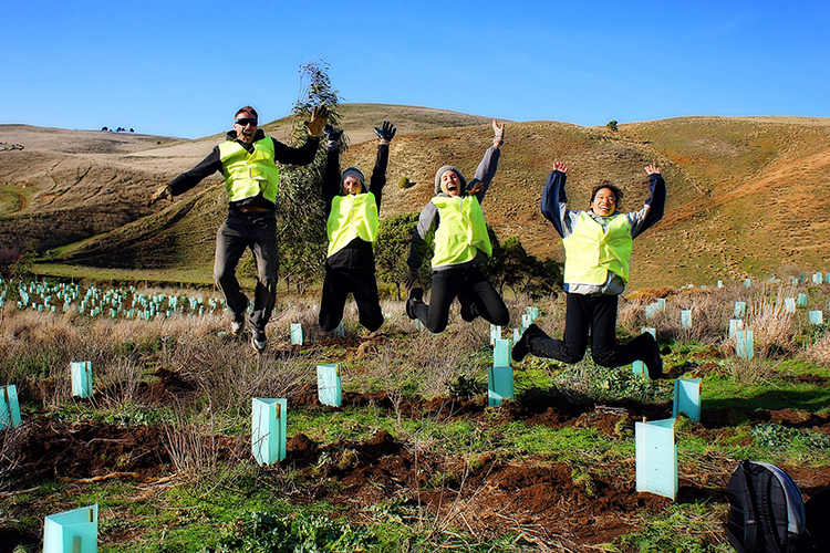 Group Conservation volunteering experience in Australia>