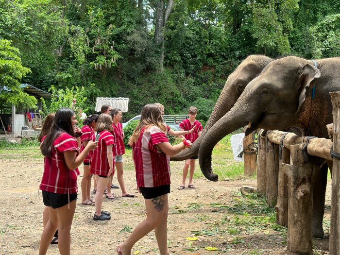 Why Animal Volunteering Is Such a Rewarding Experience