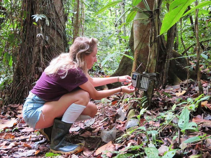 What are the requirements to join the Environment Conservation Volunteering Abroad Program?