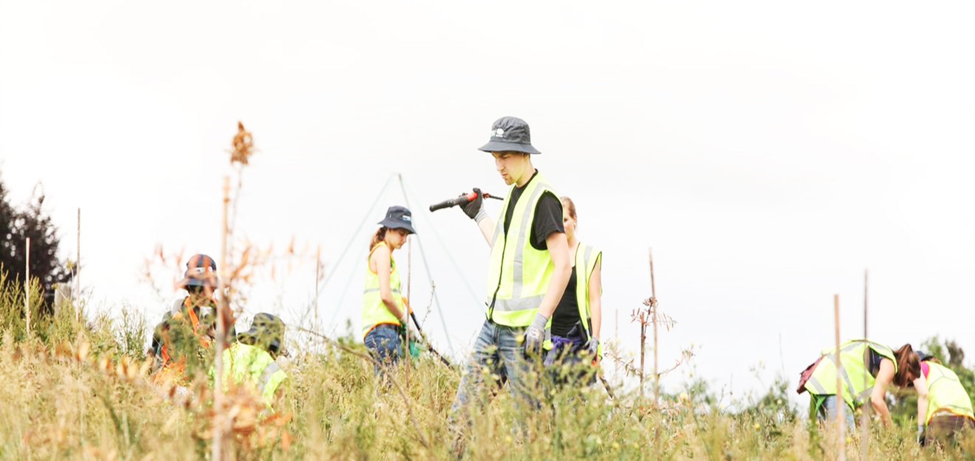 Volunteer Abroad in New Zealand with Volunteering Solutions