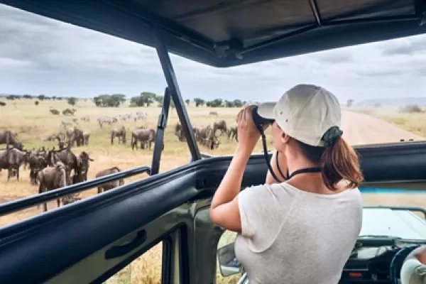 Viaggio safari di fine settimana durante il tuo viaggio di volontariato ad Arusha, Tanzania con Volunteering Solutions