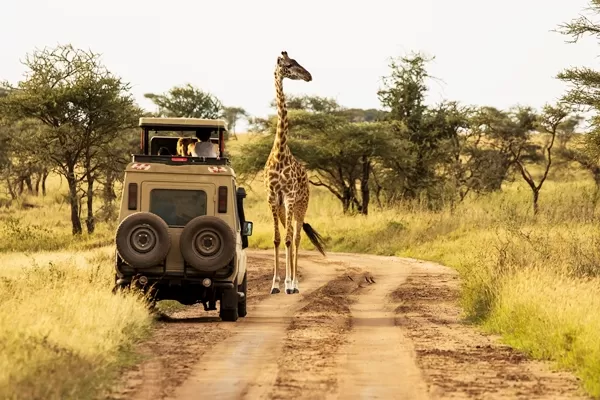 Weekend Safari trip with Volunteering Solutions