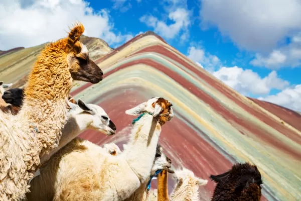 4-Day Cusco, Machu Picchu & Rainbow Mountain Adventure