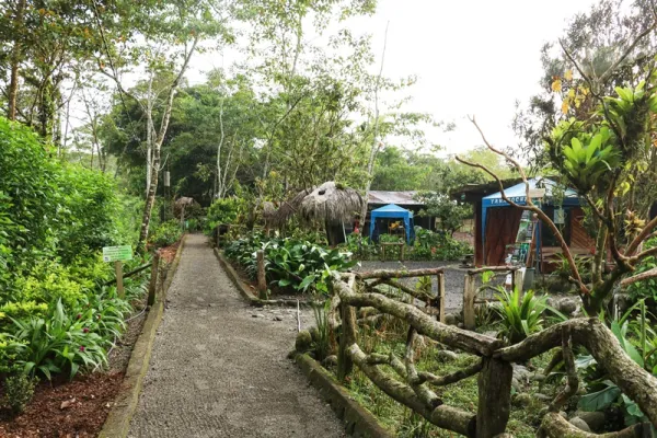 Centro di salvataggio degli animali amazzonici - Puyo, Ecuador Centro di salvataggio degli animali amazzonici - Puyo, Ecuador
