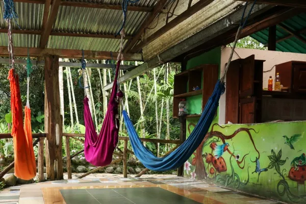 Centro di salvataggio degli animali amazzonici - Puyo, Ecuador Centro di salvataggio degli animali amazzonici - Puyo, Ecuador