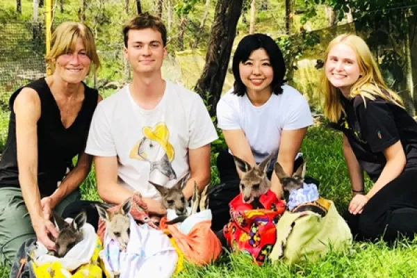 Fai voluntariamente em um refúgio para animais selvagens