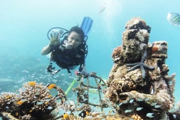 Vrijwillig programma voor de restaurierung van Korallen en Buceo in Norden op Bali