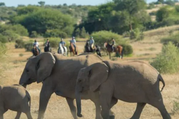 2-daagse weekend safari in het wild