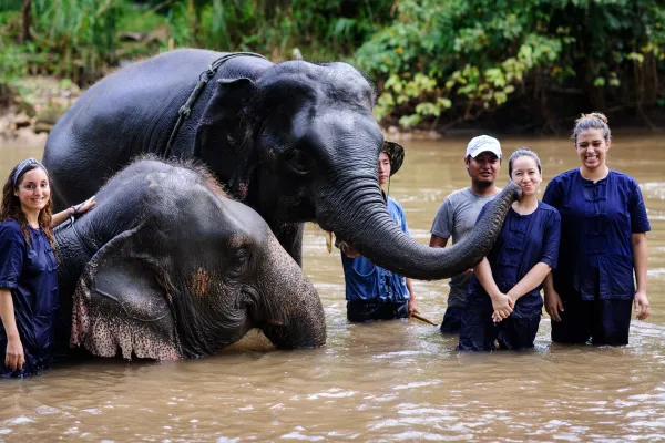 10 Steps To Become A Volunteer For A Wildlife Conservation Project in 2025 10 Steps To Become A Volunteer For A Wildlife Conservation Project in 2025