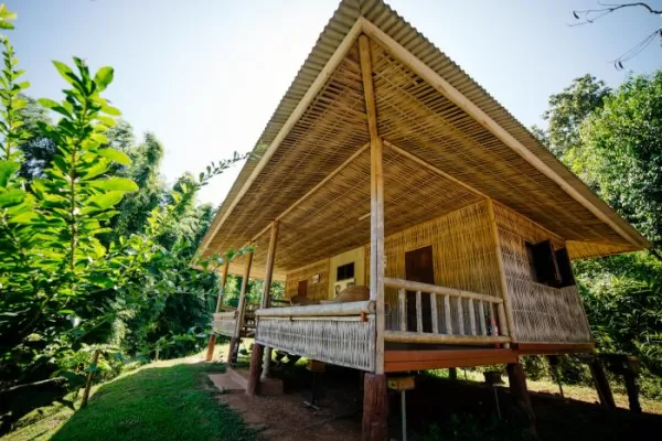 Elephant Camp Accommodation Exterior View