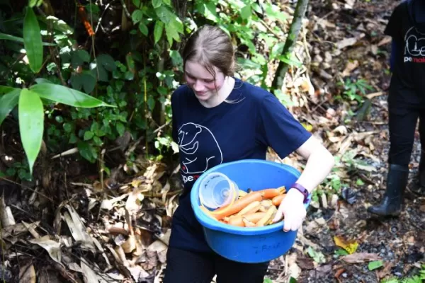 Sun Bear Conservation - Malaysia