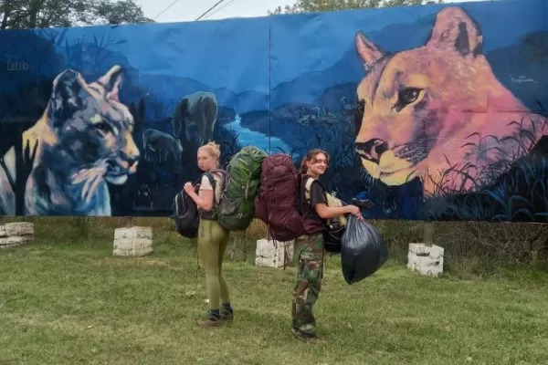 Volunteer at a Puma Reserve in Argentina