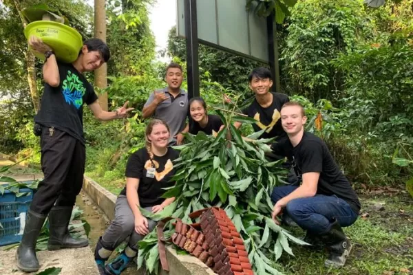 Sun Bear Conservation - Malaysia