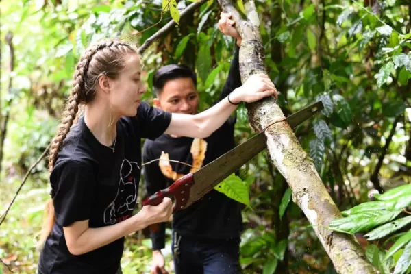 Sun Bear Conservation - Malaysia