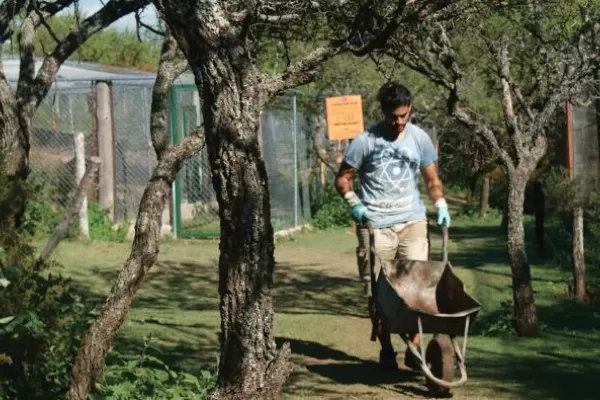 Volunteer at a Puma Reserve in Argentina