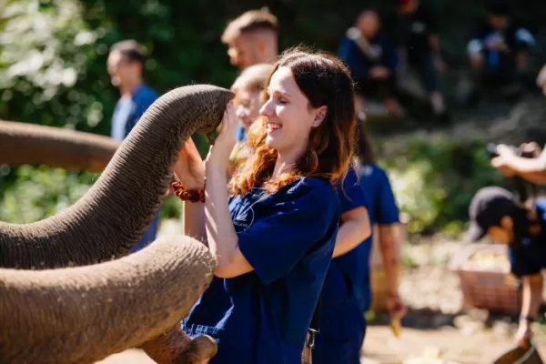 Volunteer with Elephants in Thailand