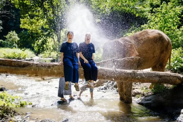 Volunteer with Elephants in Thailand