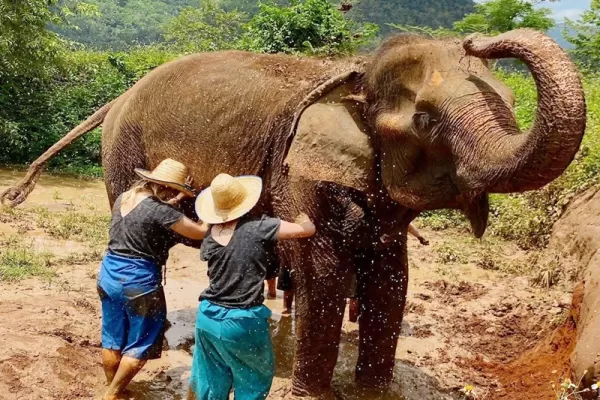 Thailand Summer Experience