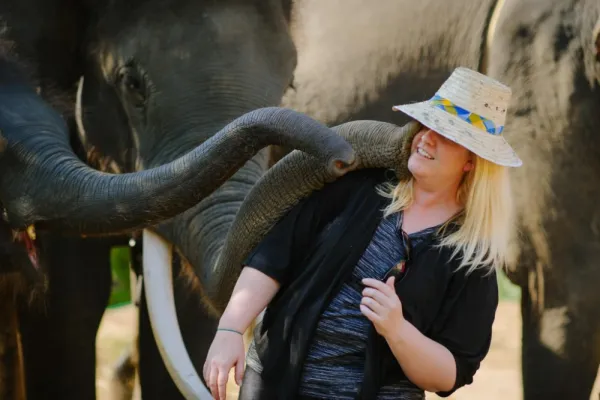 Chiang Mai Elephant Care - Thailand