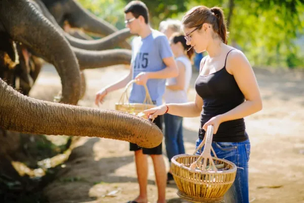 Chiang Mai Elephant Care - Thailand