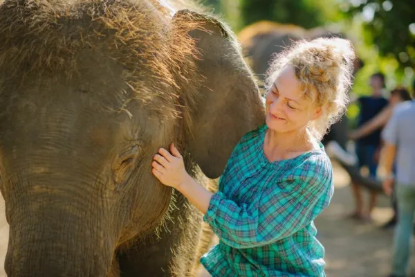 Chiang Mai Elephant Care - Thailand