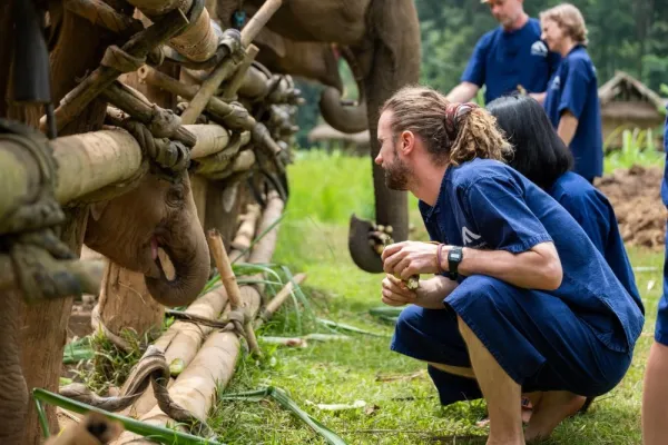 Chiang Mai Elephant Care - Thailand