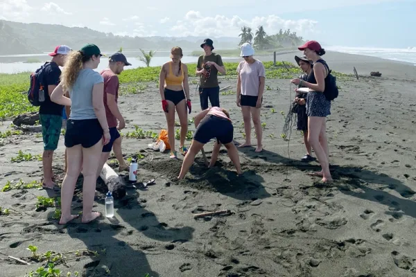 Environment and Turtle Conservation Osa Peninsula - Costa Rica