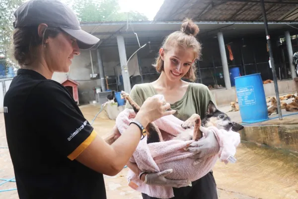 Dog Care Project - Sri Lanka