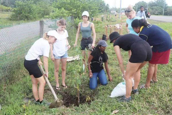 Environmental Conservation Work in Galle - Sri Lanka