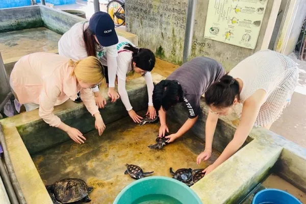 Kosgoda Turtle Conservation - Sri Lanka