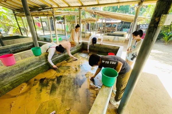 Kosgoda Turtle Conservation - Sri Lanka