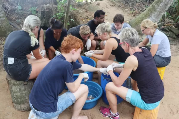 Family Volunteer Adventure - Sri Lanka