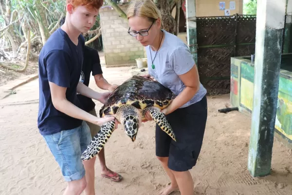 Family Volunteer Adventure - Sri Lanka