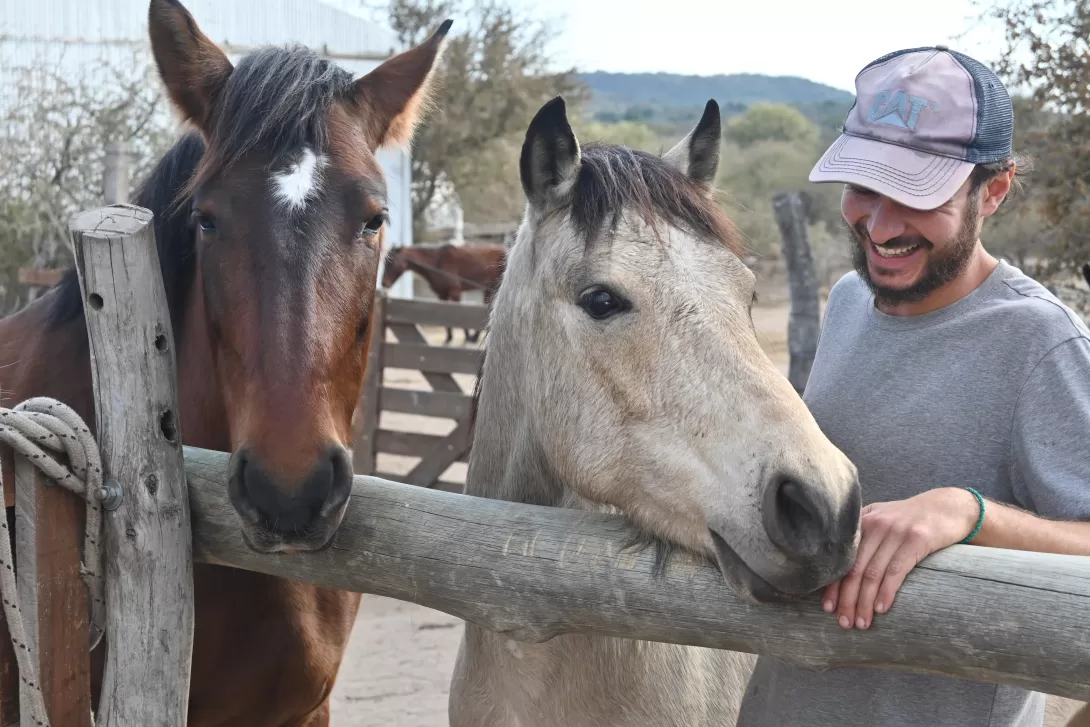 Volontariaat in een Santuario di Caballos in Argentinië