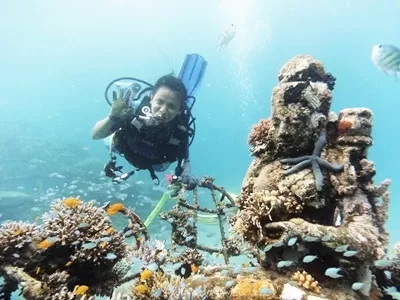 Vrijwillig programma voor de restaurierung van Korallen en Buceo in Norden op Bali