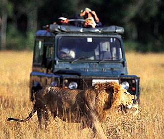 Voluntarios en un safari en Masai Mara